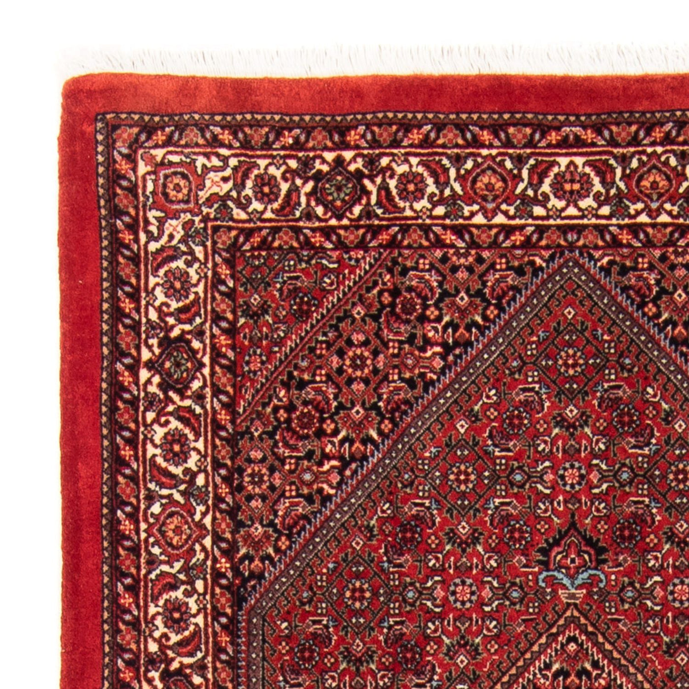 Bidjar - Takab Rug 150x90cm - Persian Rugs