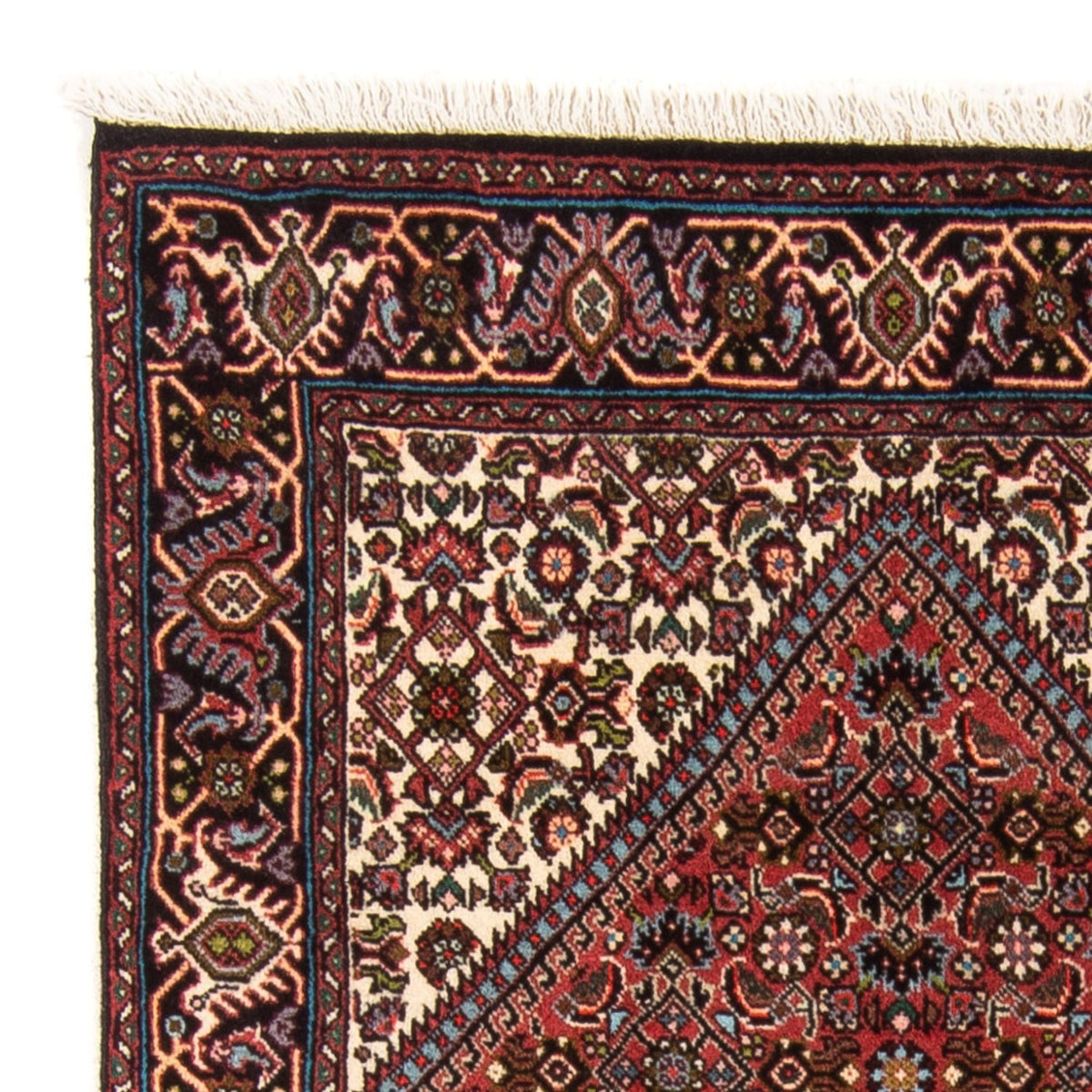 Bidjar - Takab Rug 82x140cm - Persian Rugs