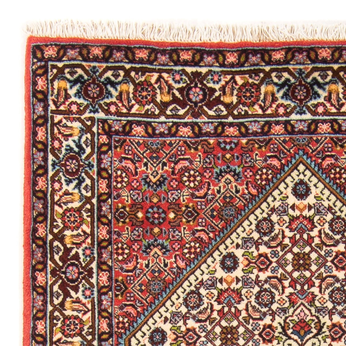 Bidjar - Takab Rug 87x150cm - Persian Rugs