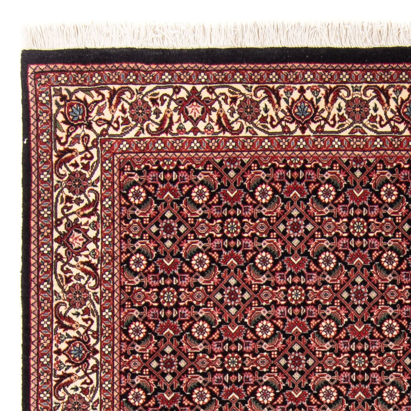 Bidjar - Takab Rug 163x111cm - Persian Rugs