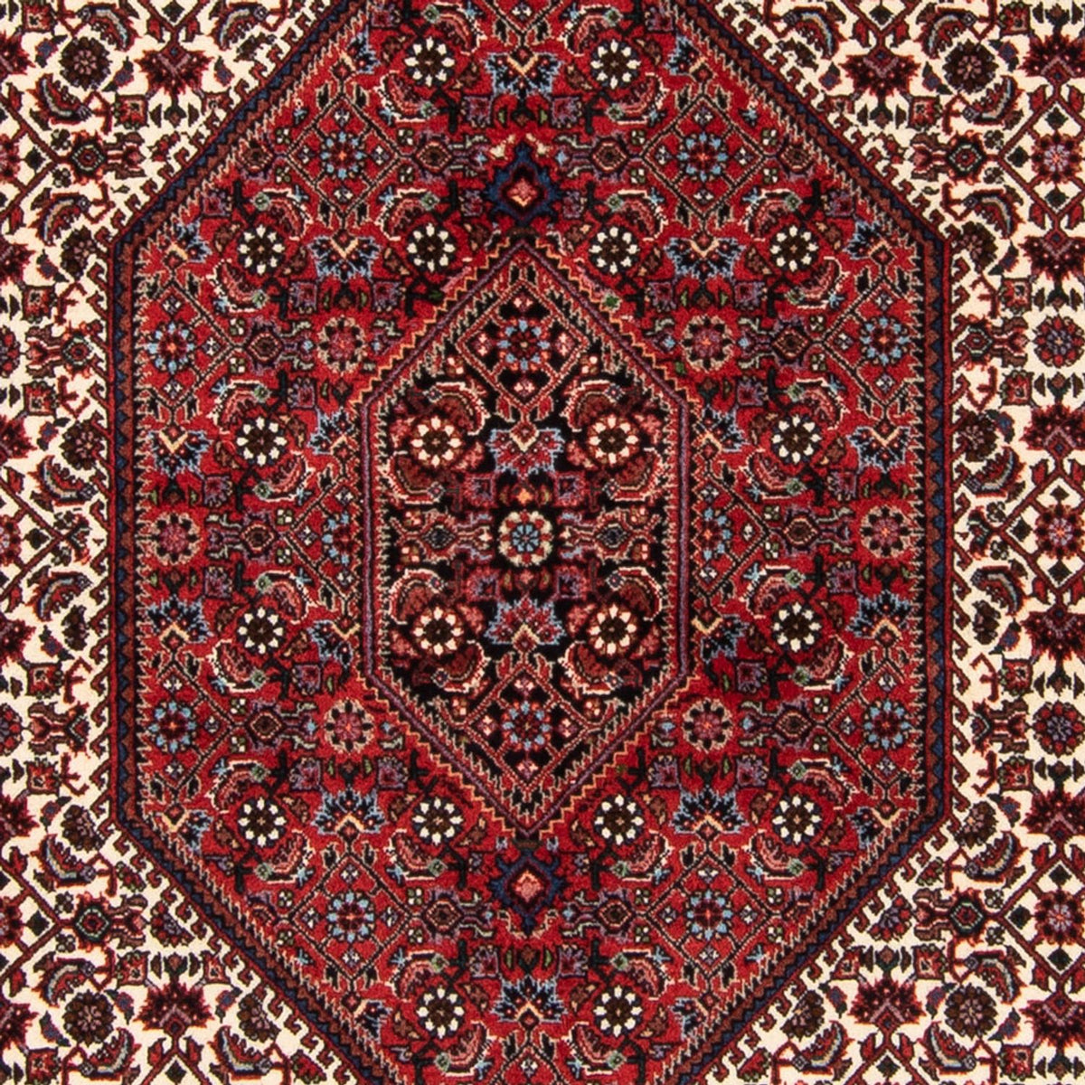 Perser Rug - Bidjar - 183 x 114 cm - multicolored