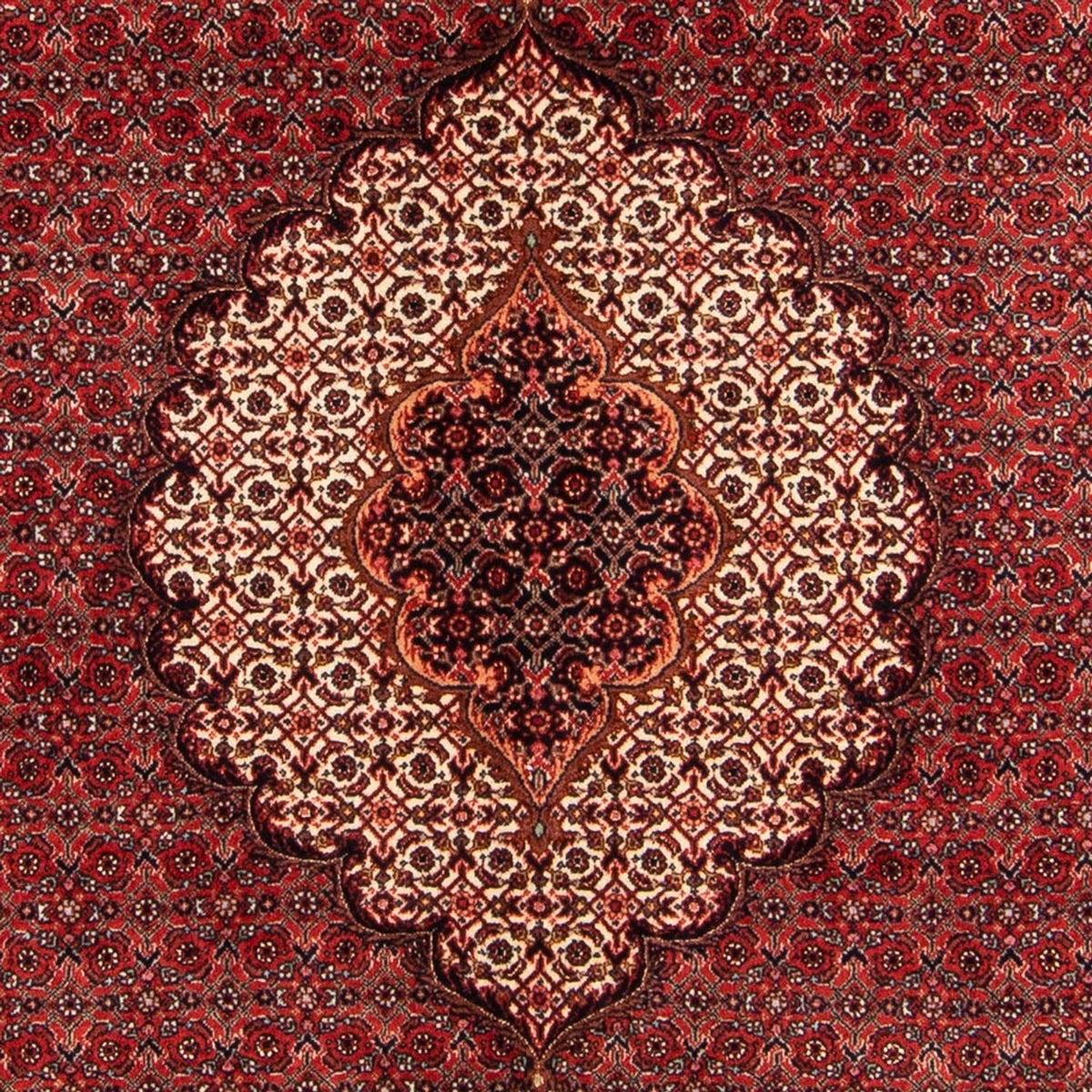Perser Rug - Bidjar - 209 x 153 cm - red
