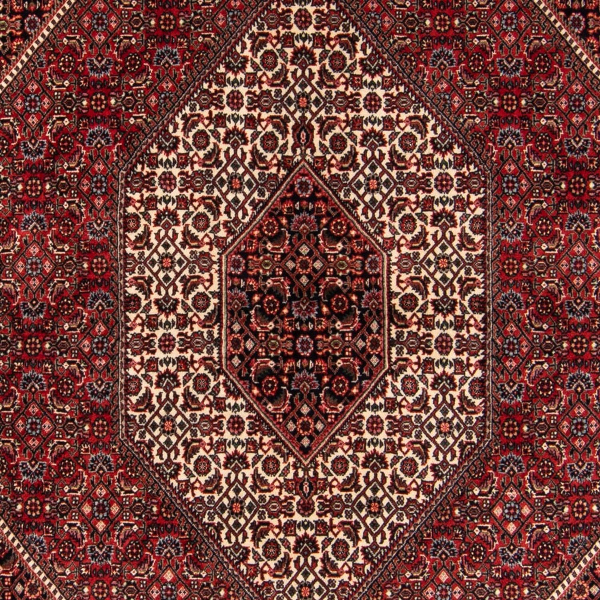 Perser Rug - Bidjar - 224 x 144 cm - red