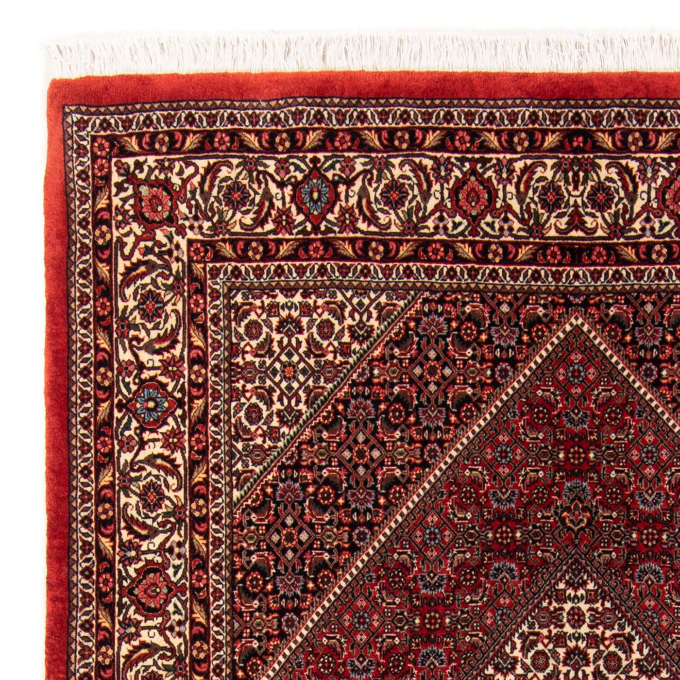 Bidjar - Takab Rug 224x144cm - Persian Rugs