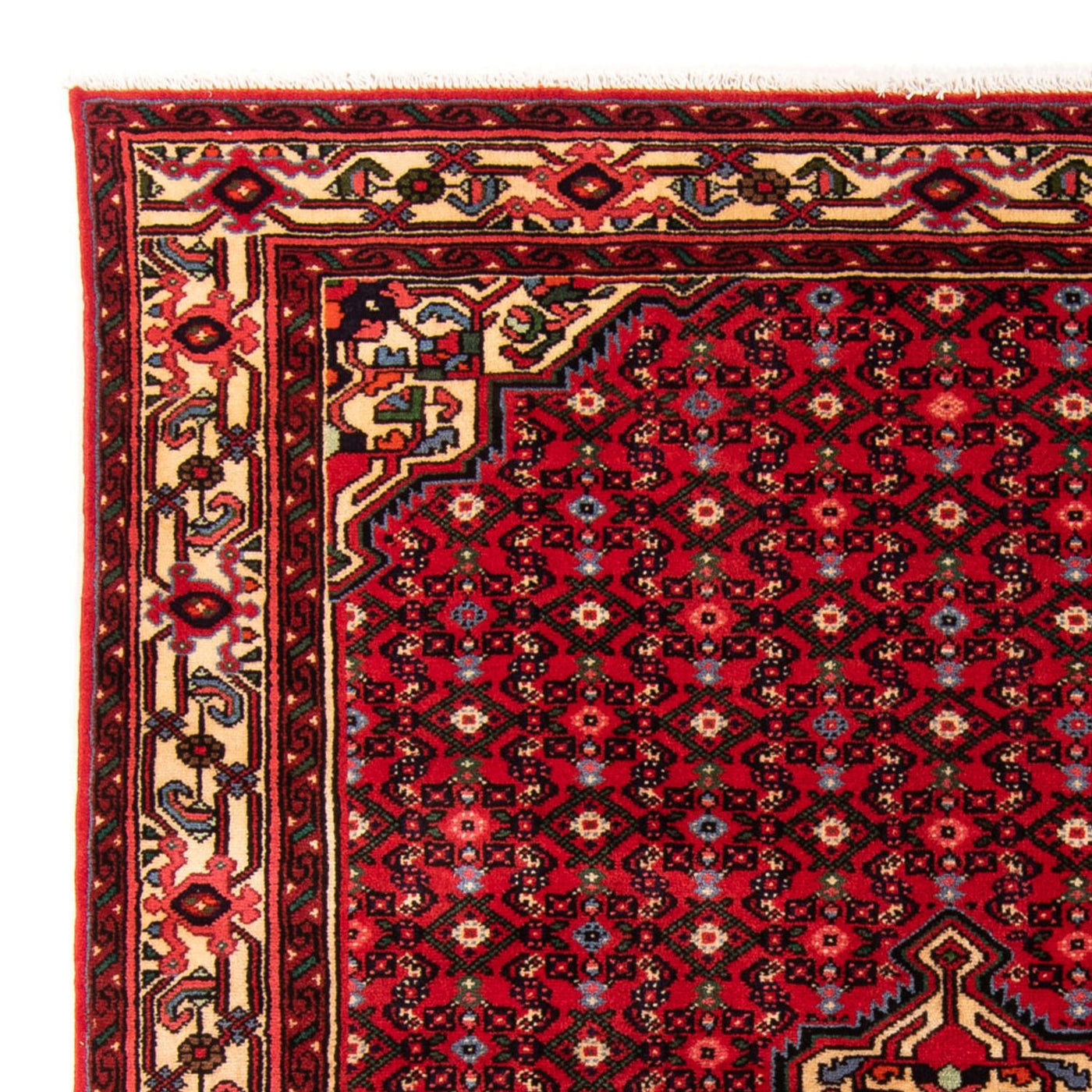 Hosseinabad Rug 207x154cm - Persian Rugs