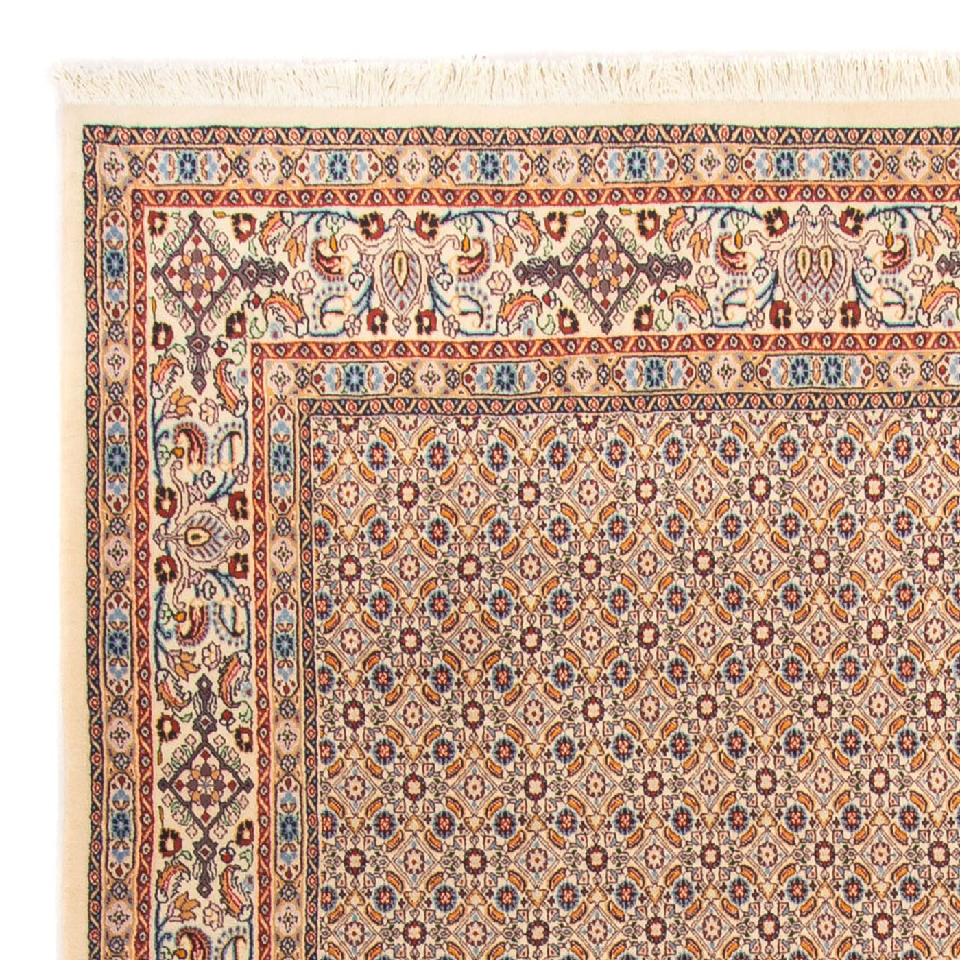 Moud Rug 245x205cm - Persian Rugs