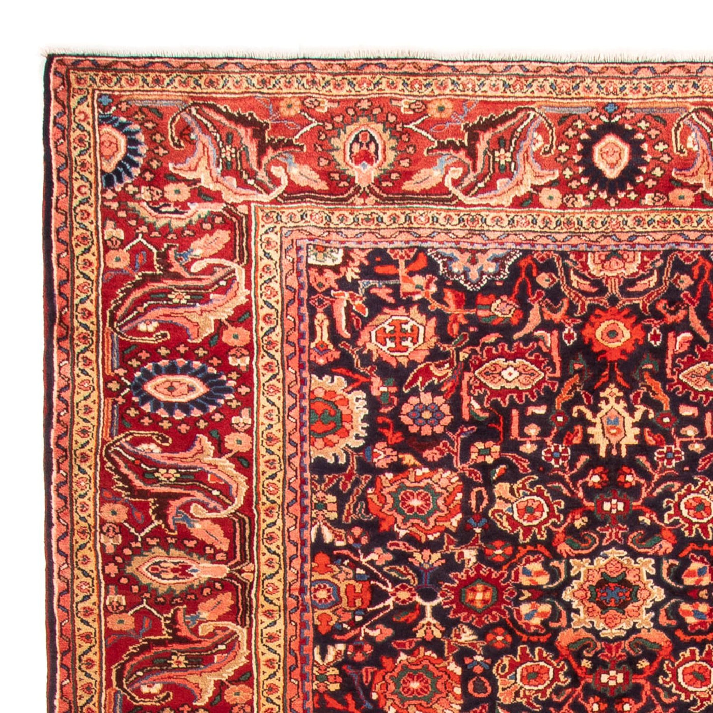 Nahavand Rug 323x220cm - Persian Rugs