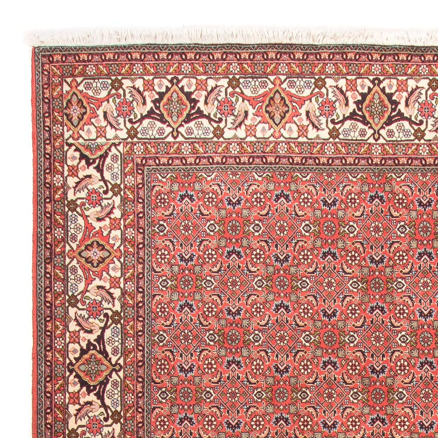 Bidjar - Takab Rug 300x198cm - Persian Rugs