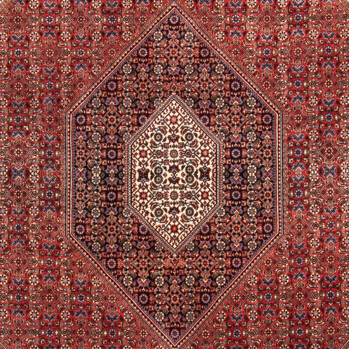 Perser Rug - Bidjar - 310 x 205 cm - red
