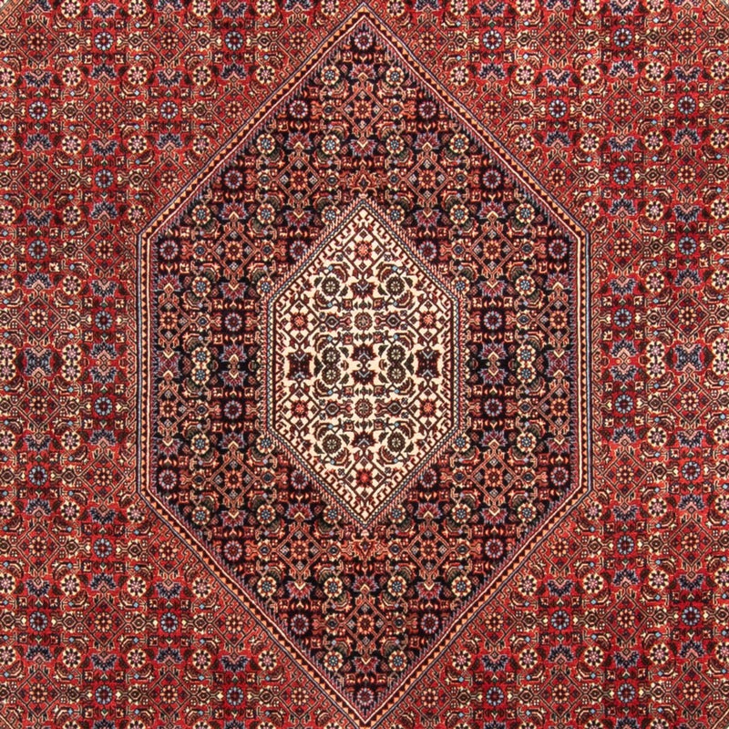 Perser Rug - Bidjar - 310 x 205 cm - red