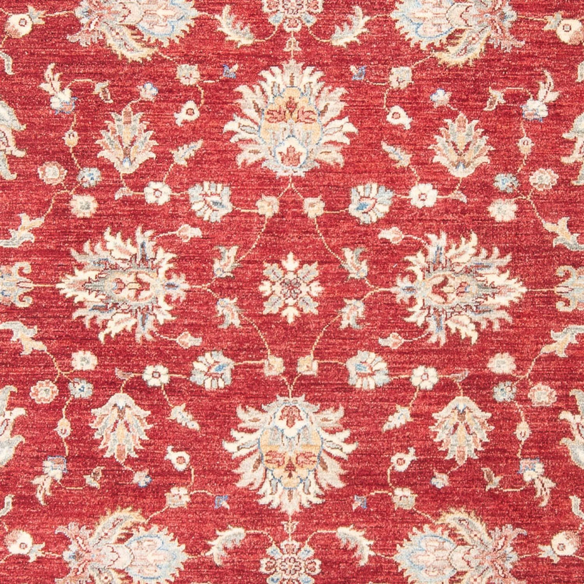 Ziegler Rug - 243 x 178 cm - red