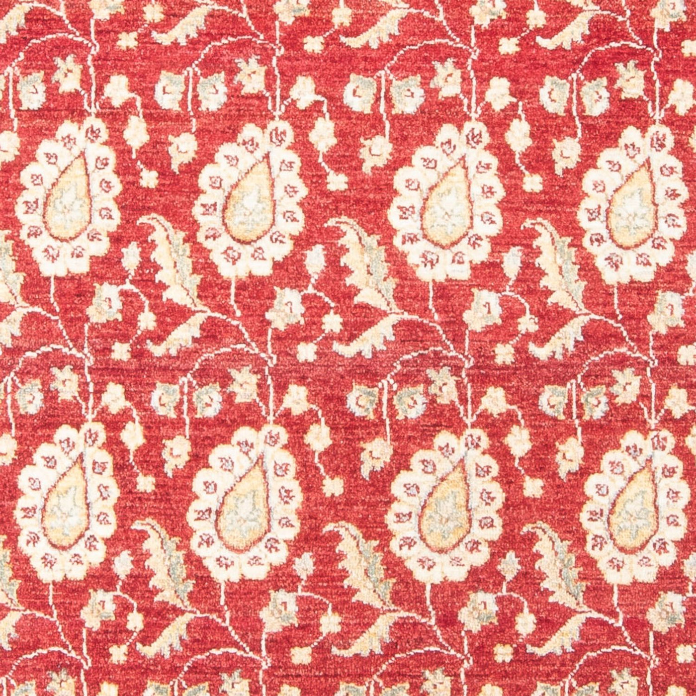 Ziegler Rug 174x121cm - Oriental Rug
