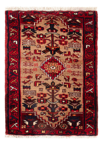 Malayer Rug 50x66cm - Persian Rugs