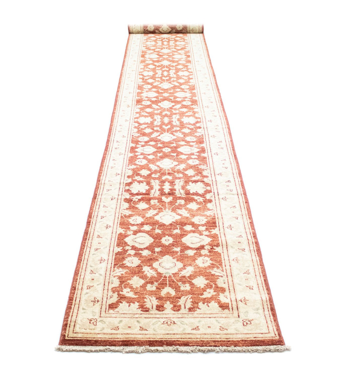 Runner Ziegler Rug - 532 x 76 cm - brown