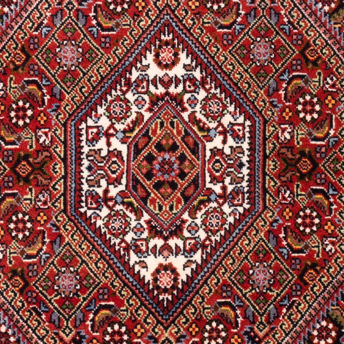 Perser Rug - Bidjar - 106 x 70 cm - red