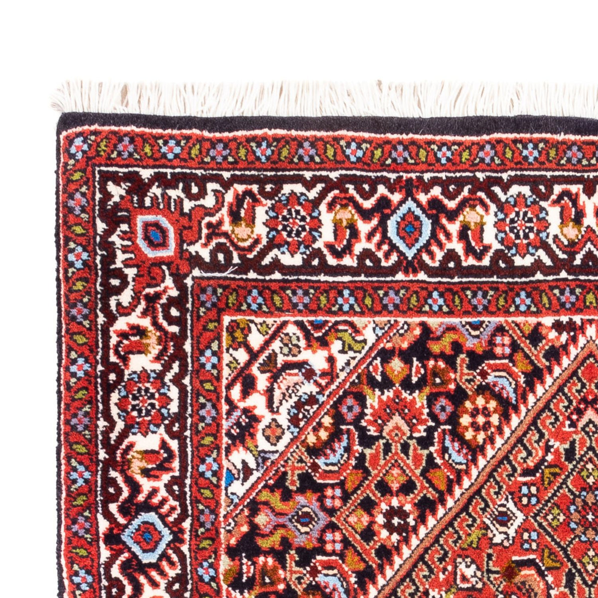 Bidjar - Bukan Rug 72x104cm - Persian Rugs