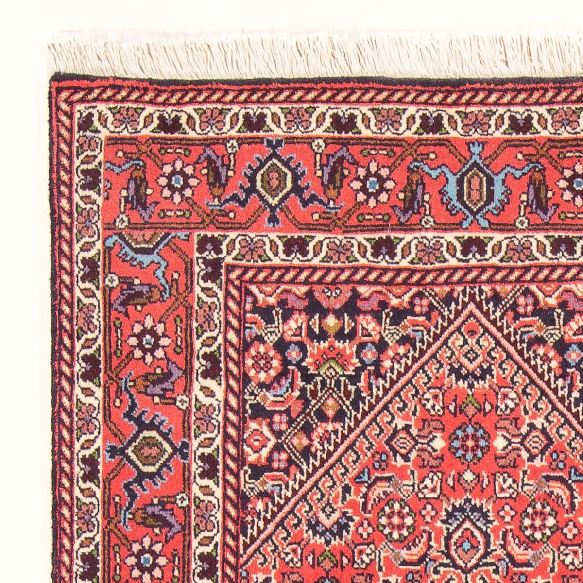 Bidjar - Bukan Rug 78x152cm - Persian Rugs