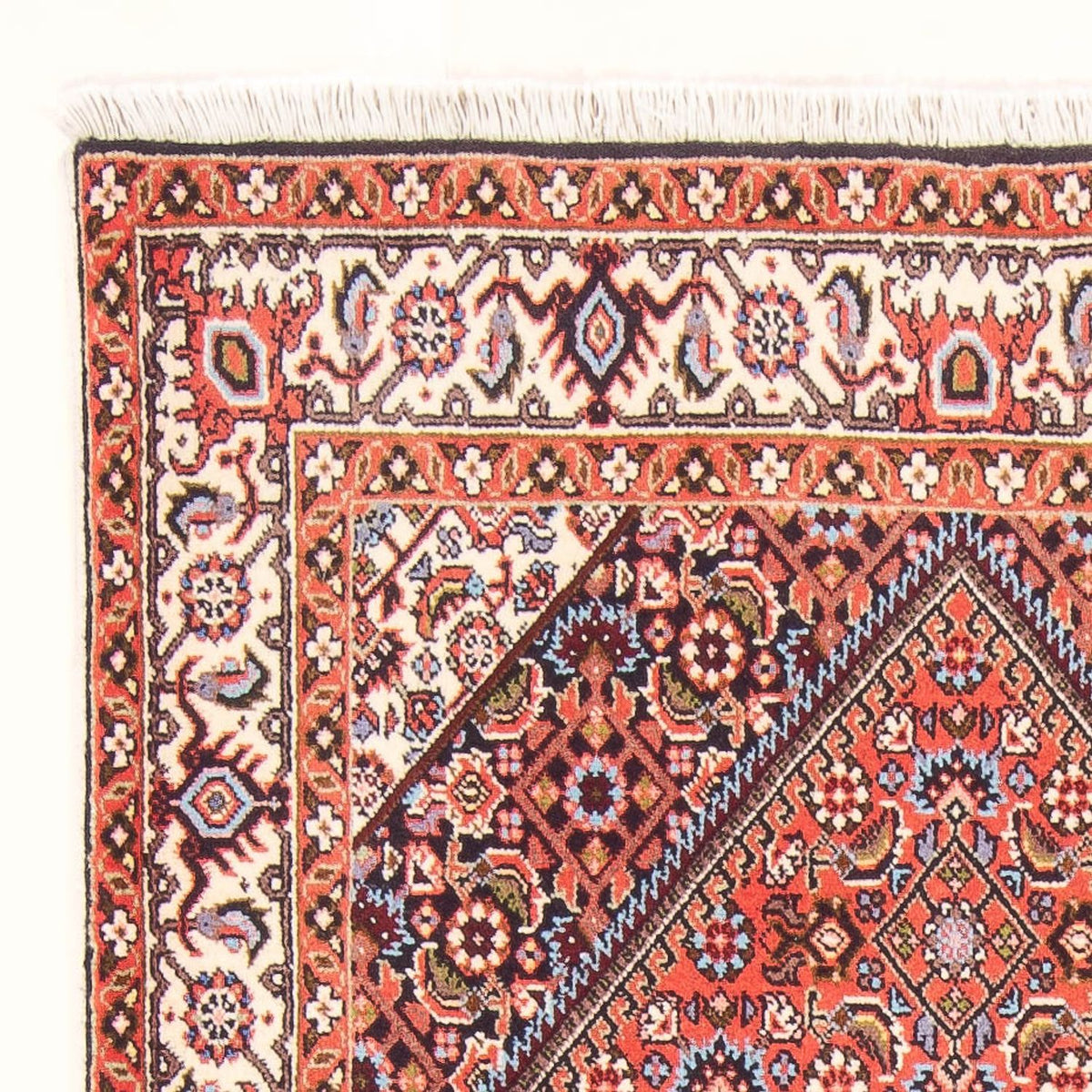 Bidjar - Bukan Rug 83x154cm - Persian Rugs - red