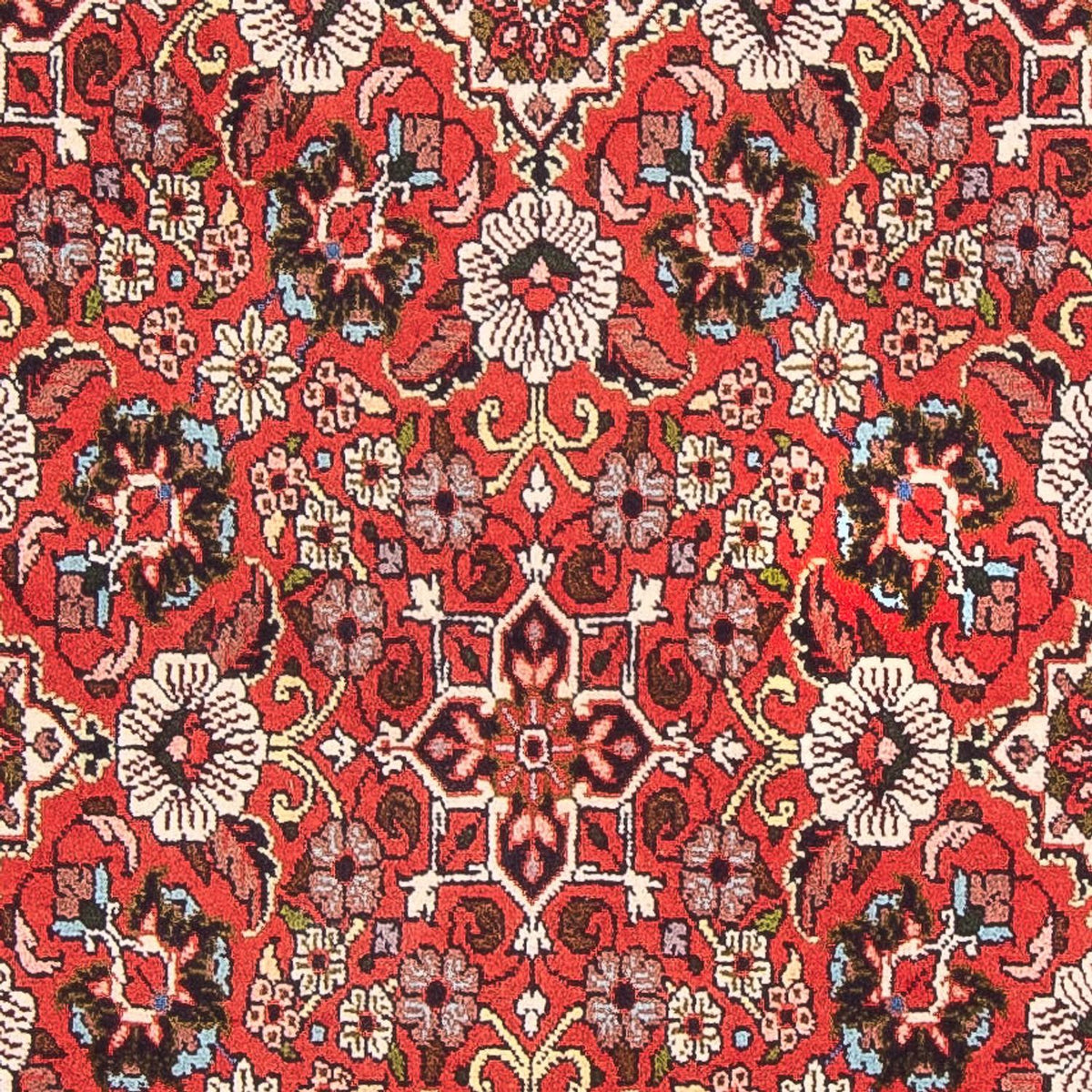 Perser Rug - Bidjar - 148 x 82 cm - red