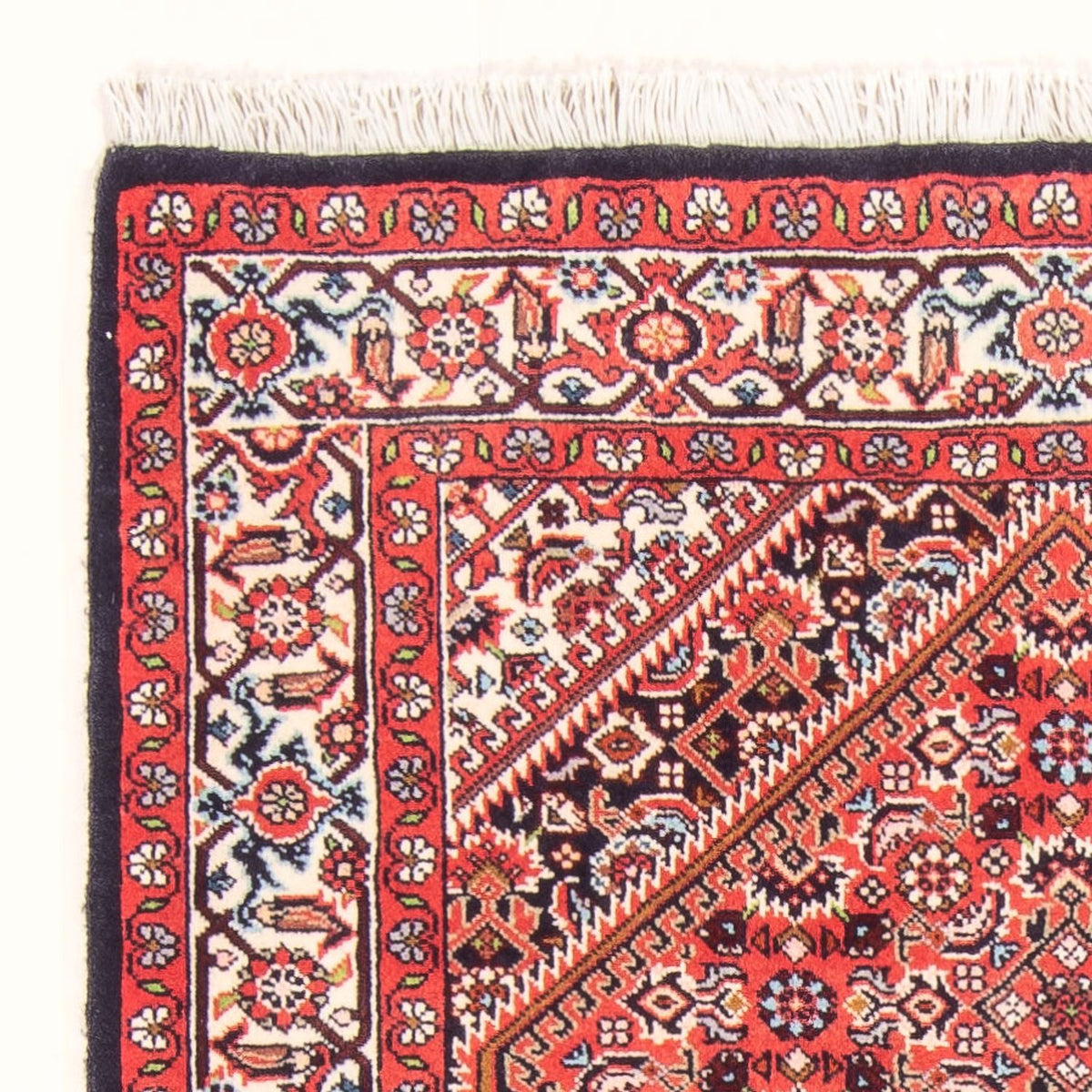Bidjar - Bukan Rug 90x144cm - Persian Rugs - red
