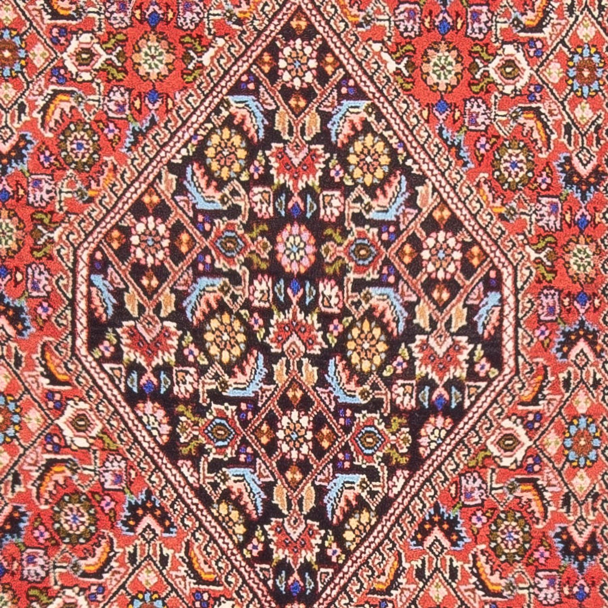 Perser Rug - Bidjar - 165 x 84 cm - red