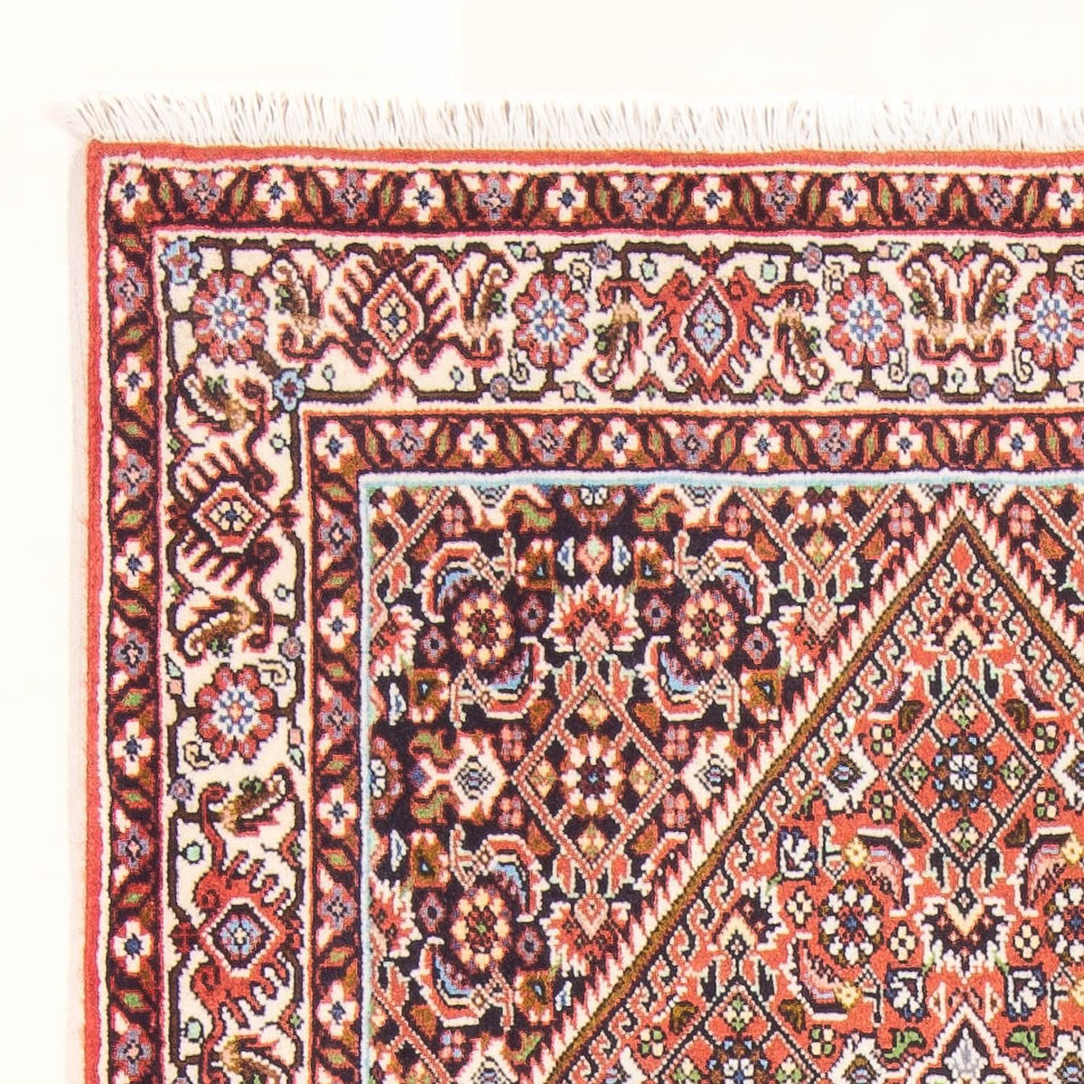 Bidjar - Bukan Rug 84x156cm - Persian Rugs - red