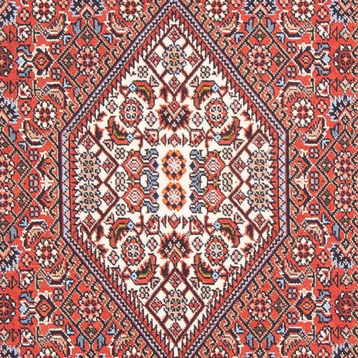 Perser Rug - Bidjar - 145 x 84 cm - red