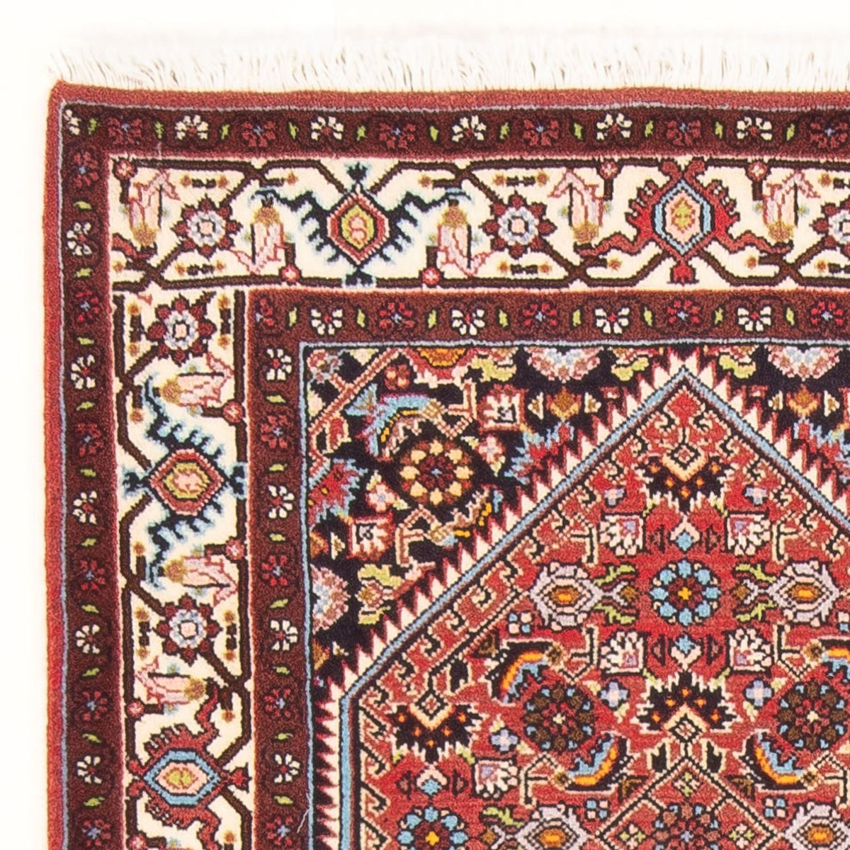 Bidjar - Bukan Rug 82x160cm - Persian Rugs - red