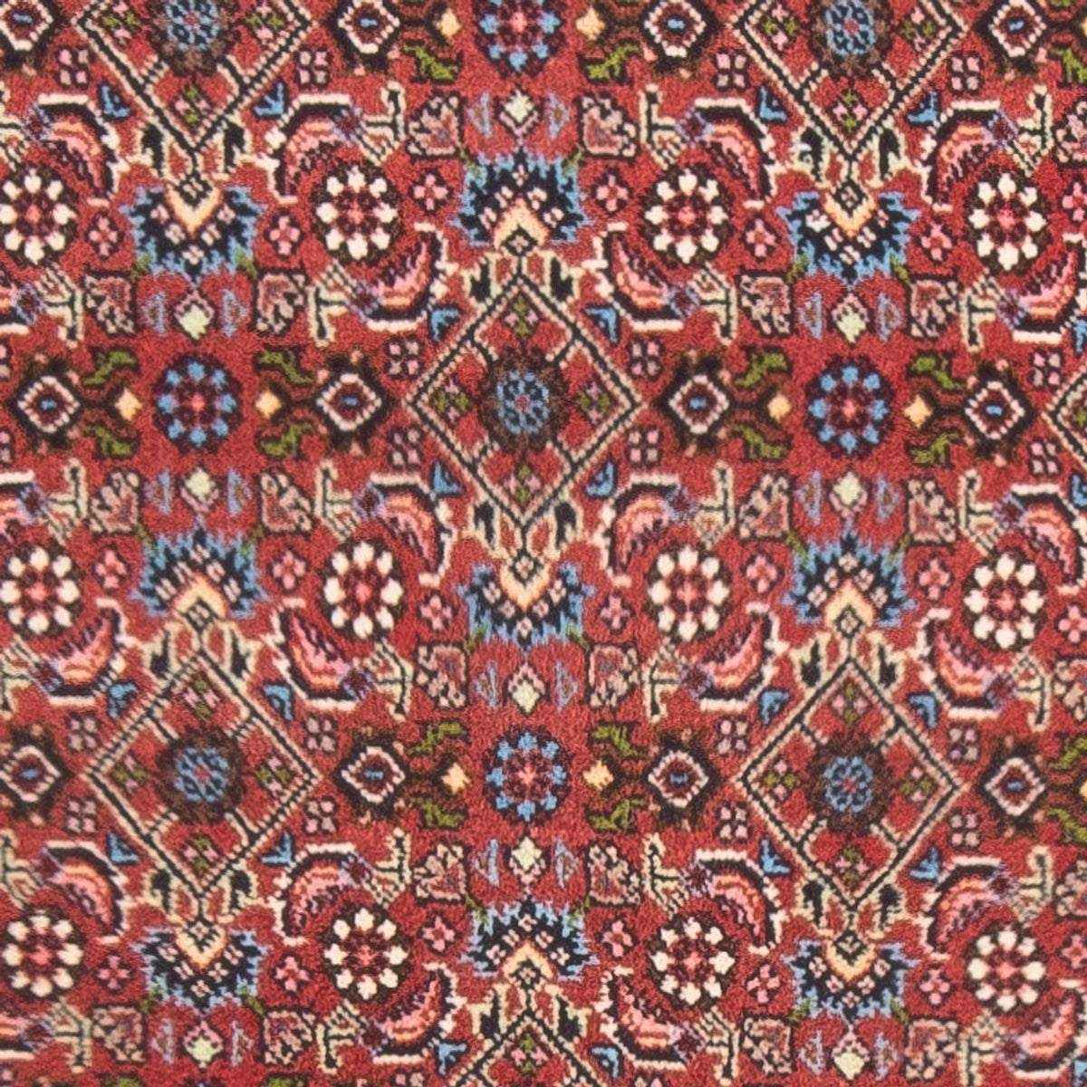 Perser Rug - Bidjar - 143 x 81 cm - red