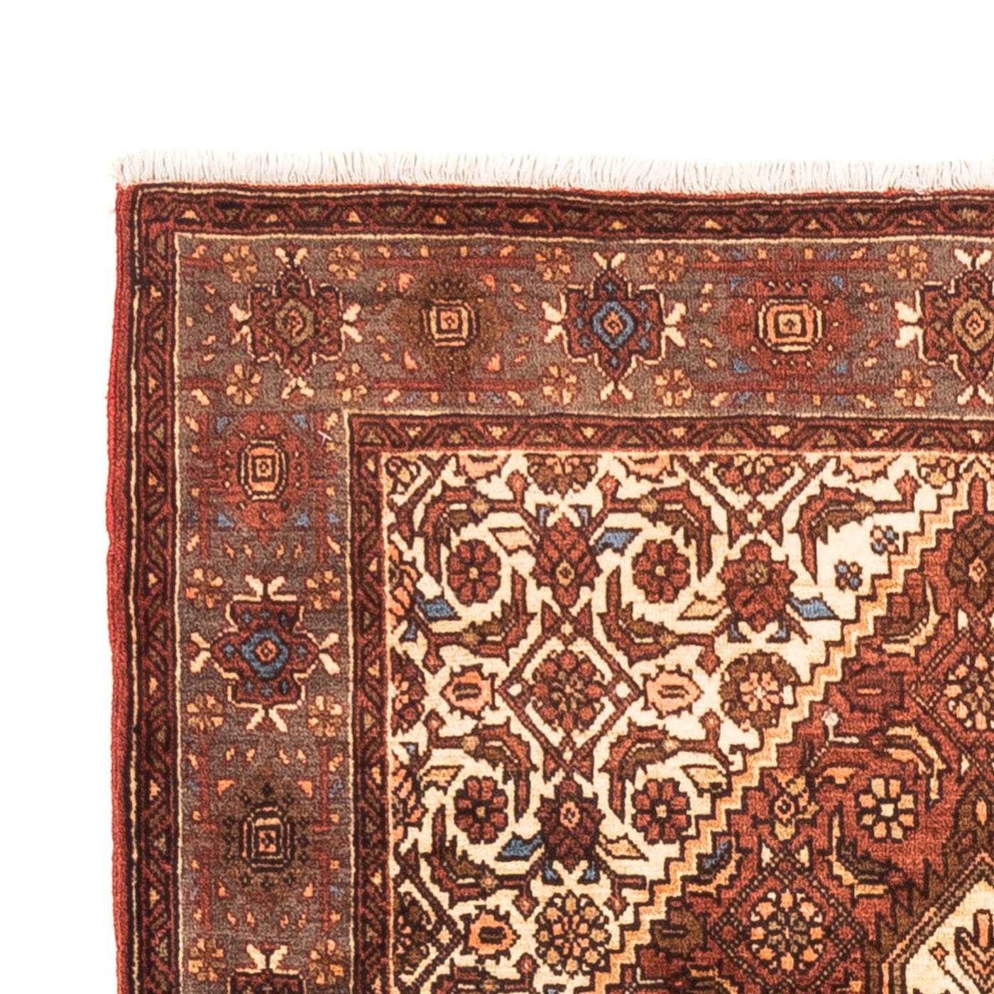 Kashan Rug 148x100cm - Persian Rugs
