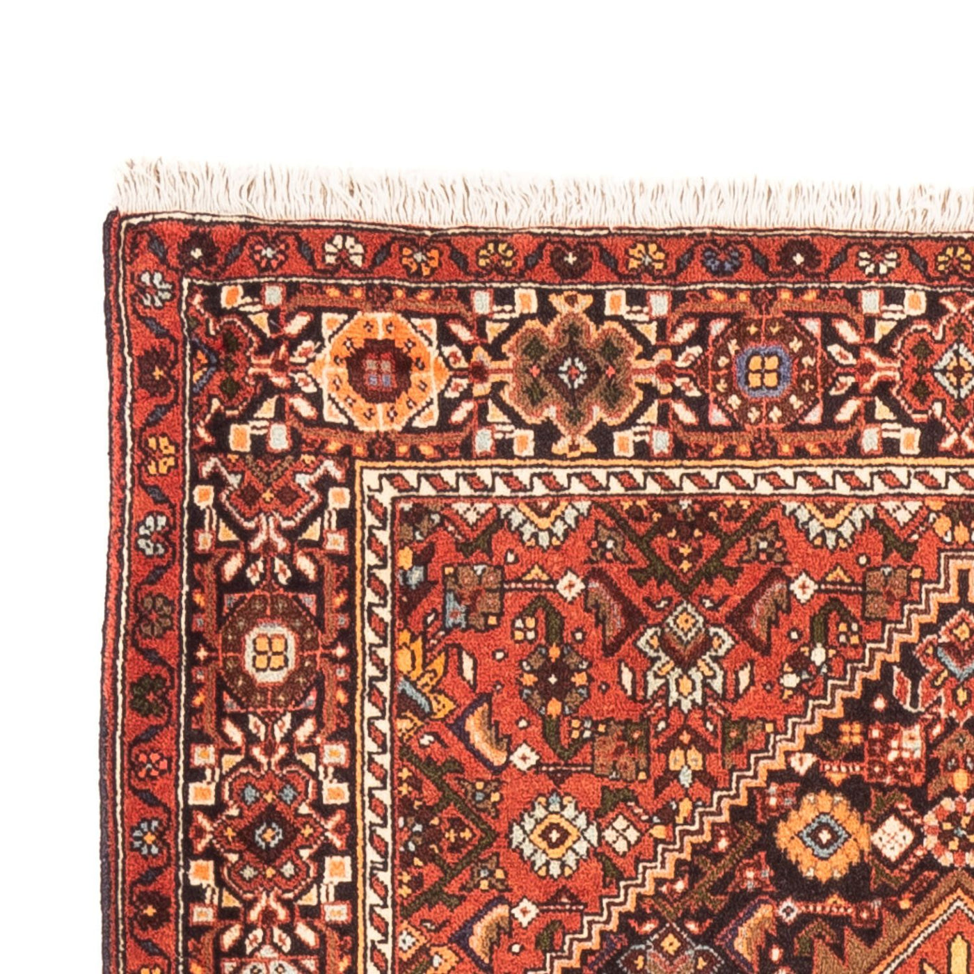 Gholtogh Rug 152x100cm - Persian Rugs