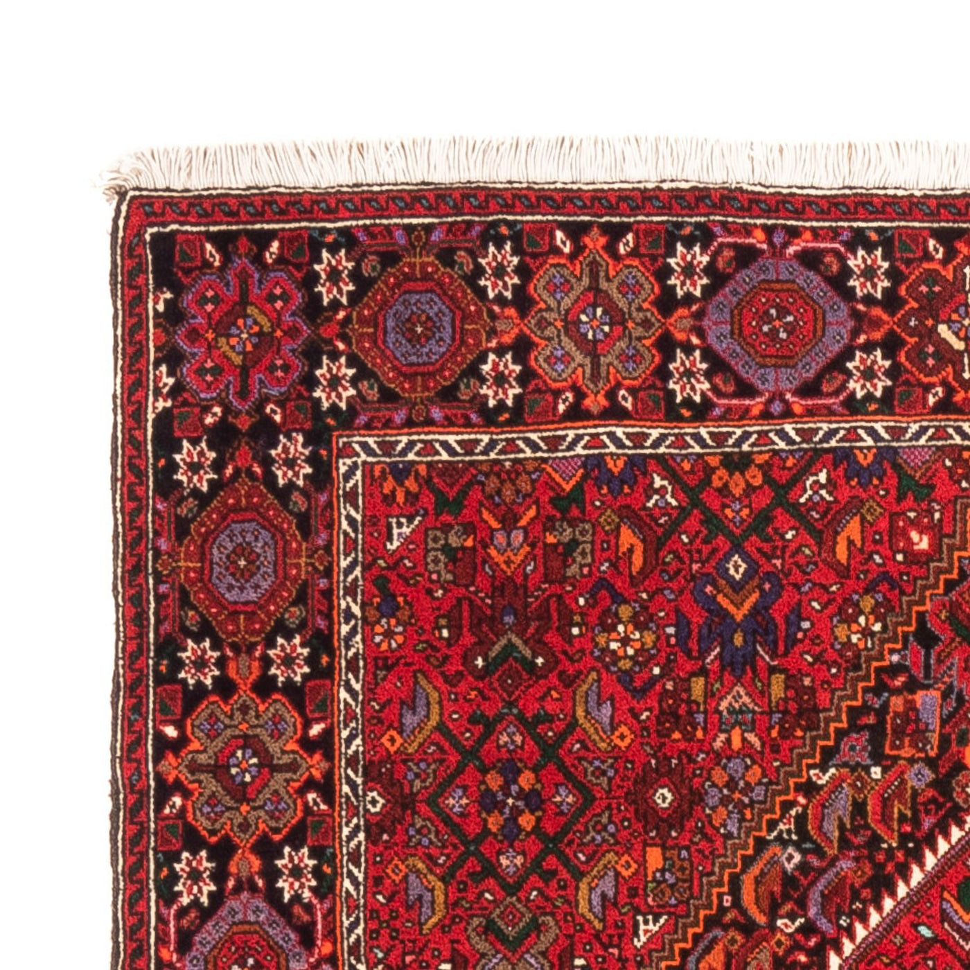 Gholtogh Rug 150x105cm - Persian Rugs