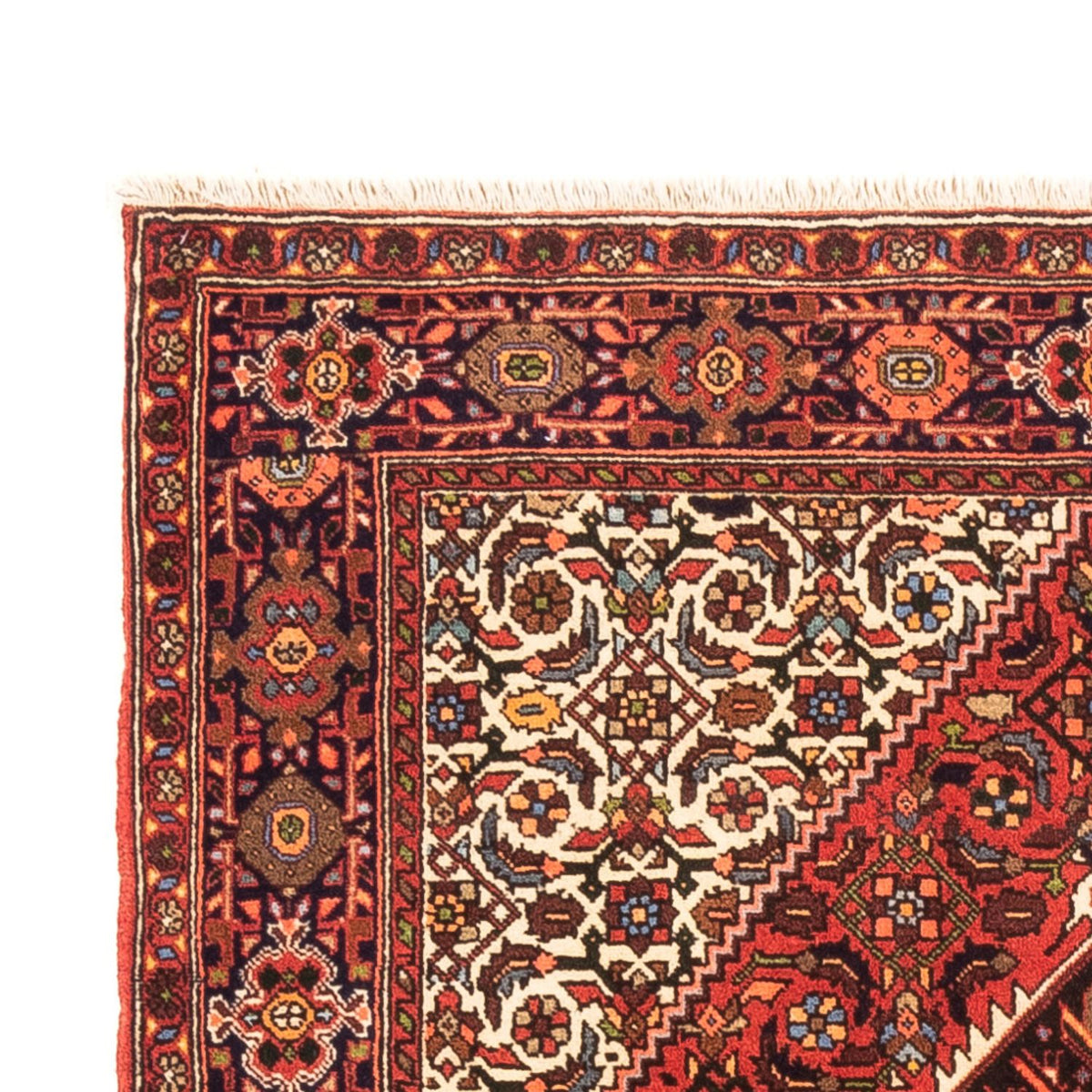 Gholtogh Rug 105x157cm - Persian Rugs