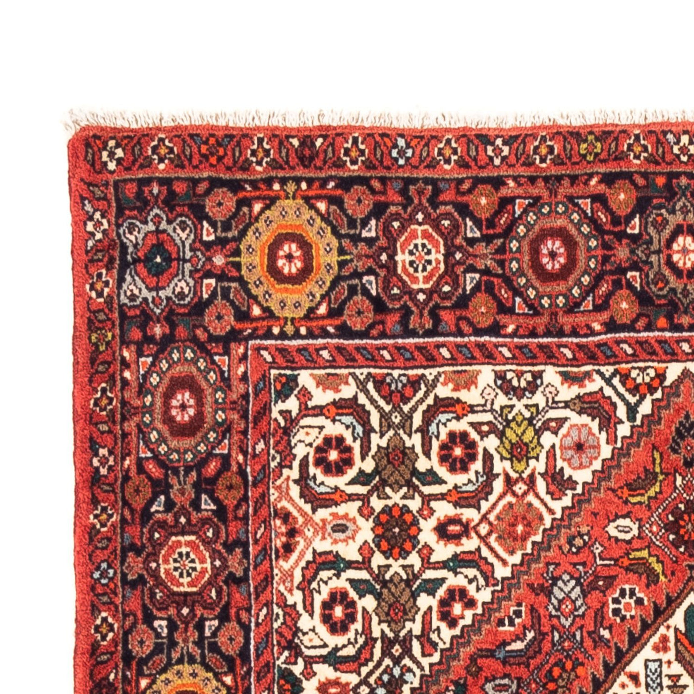 Gholtogh Rug 159x105cm - Persian Rugs