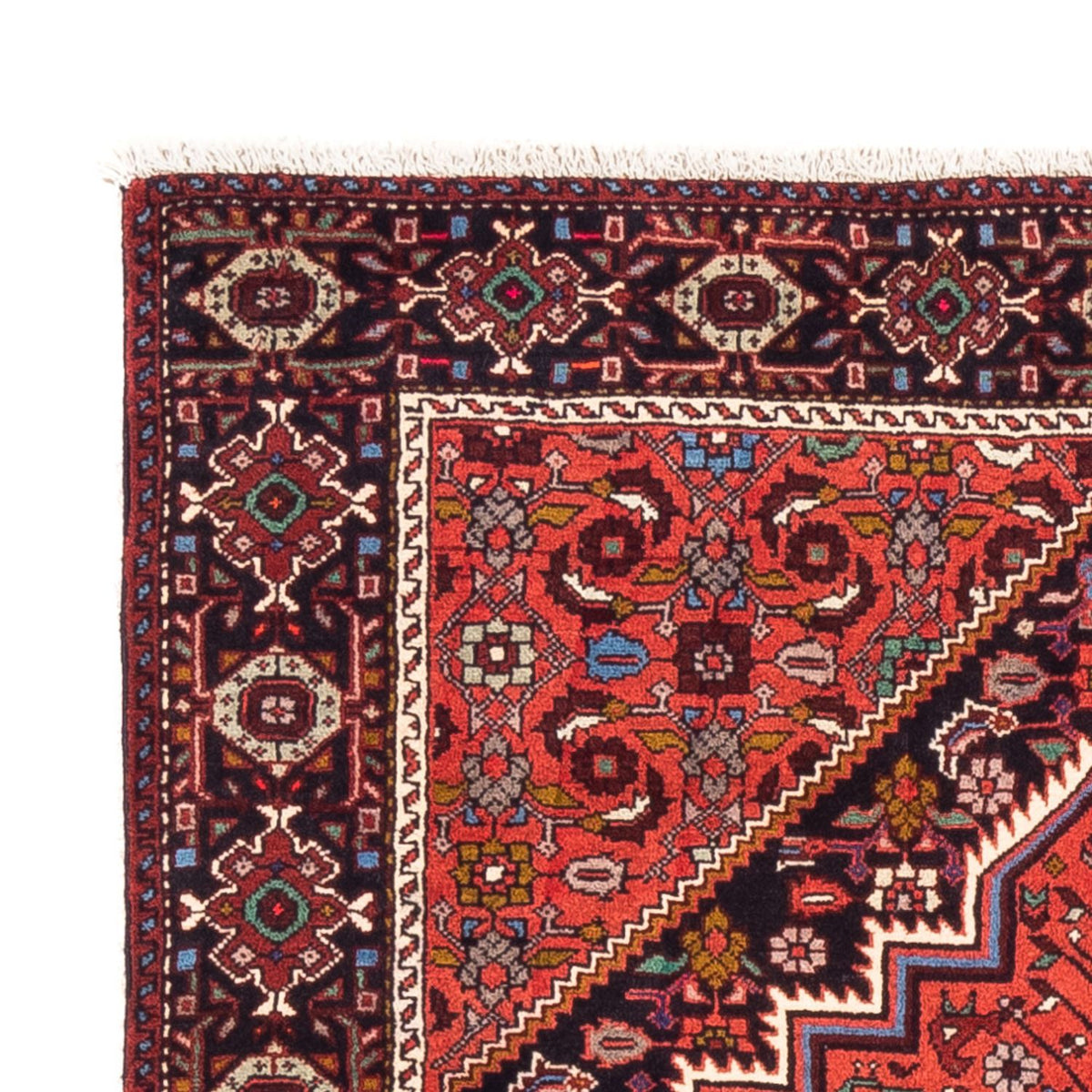 Gholtogh Rug 100x145cm - Persian Rugs