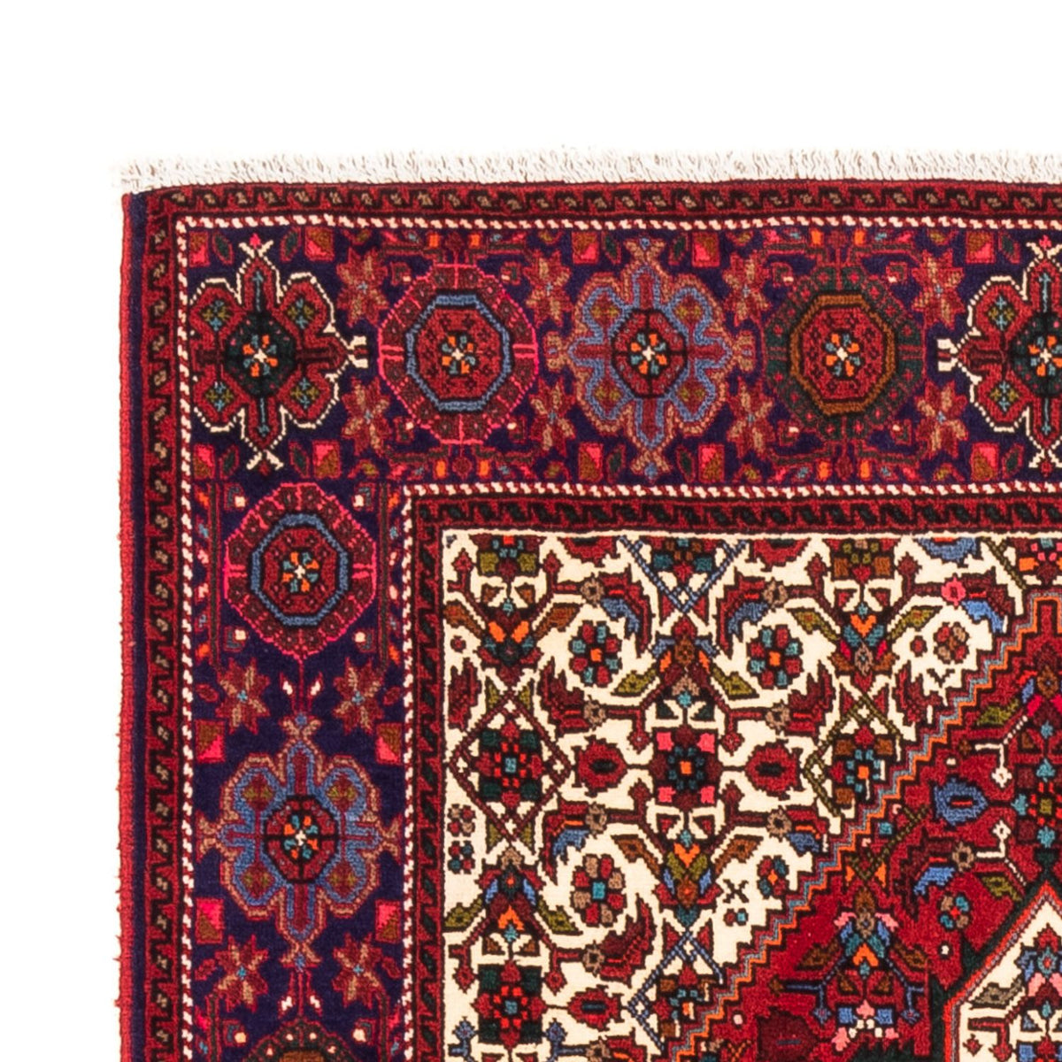 Gholtogh Rug 100x155cm - Persian Rugs