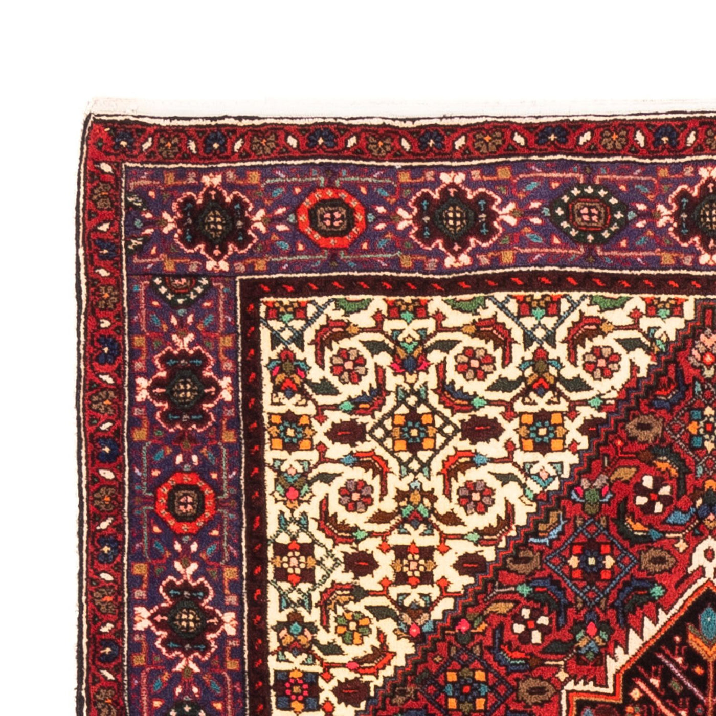 Gholtogh Rug 150x102cm - Persian Rugs