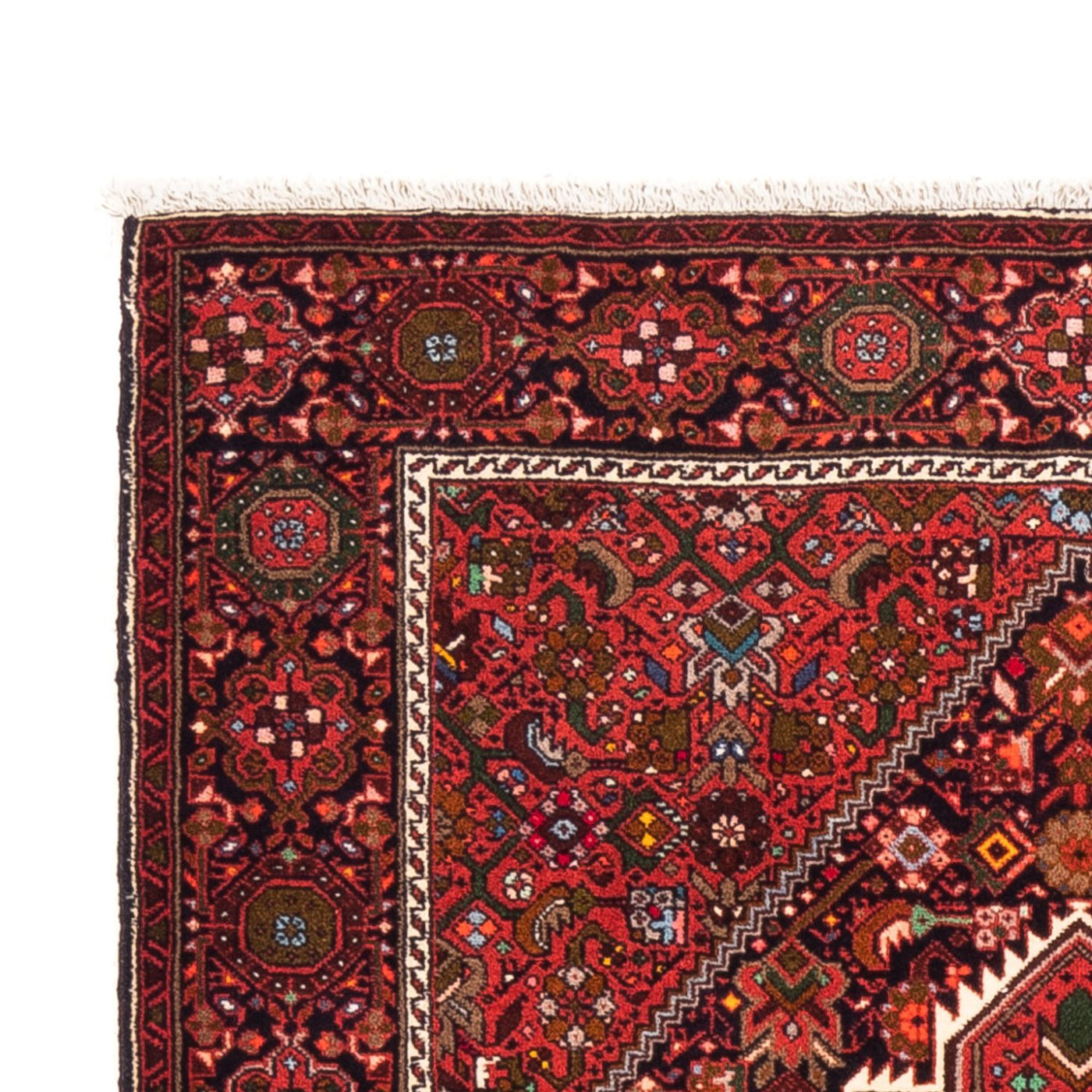 Gholtogh Rug 155x103cm - Persian Rugs