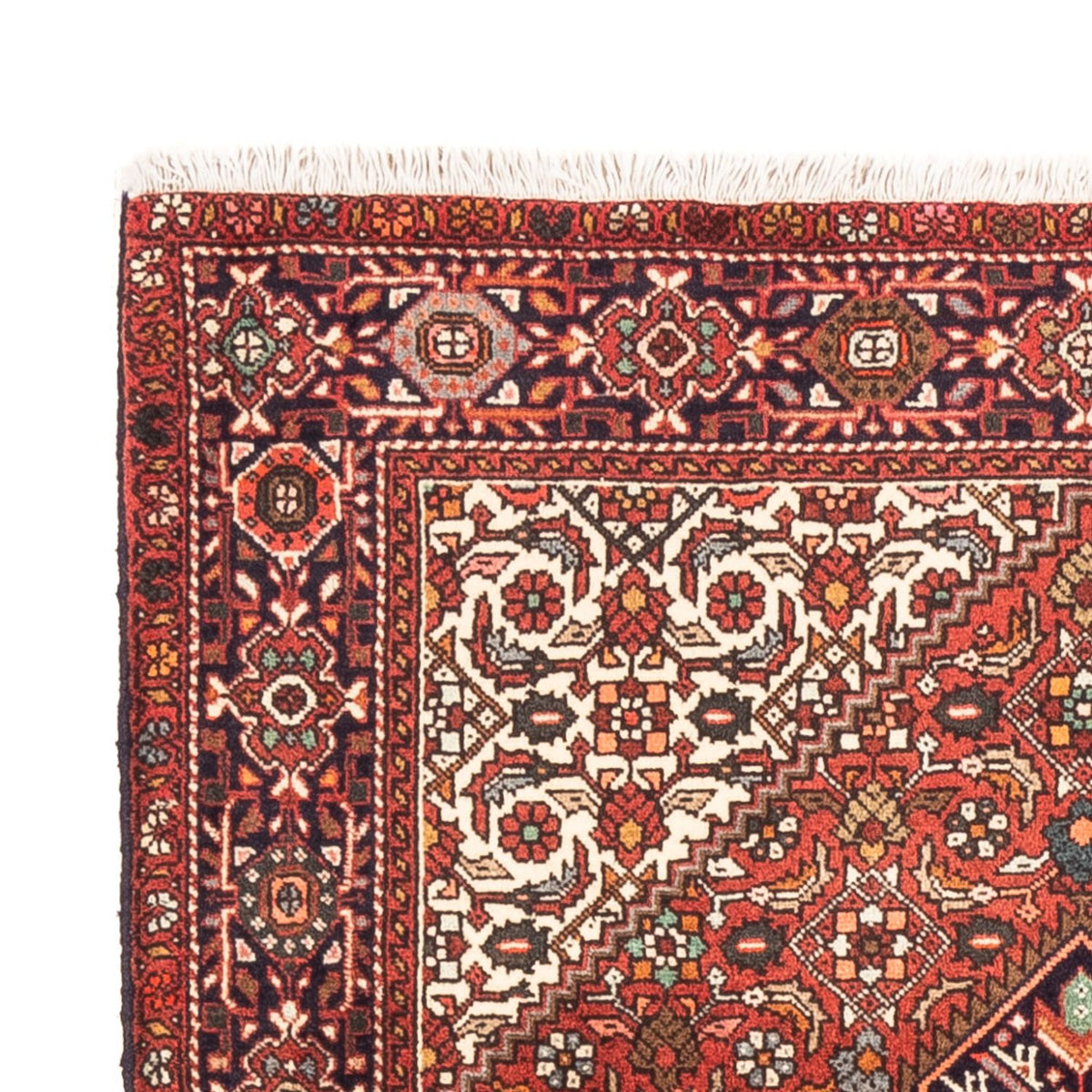 Gholtogh Rug 100x145cm - Persian Rugs