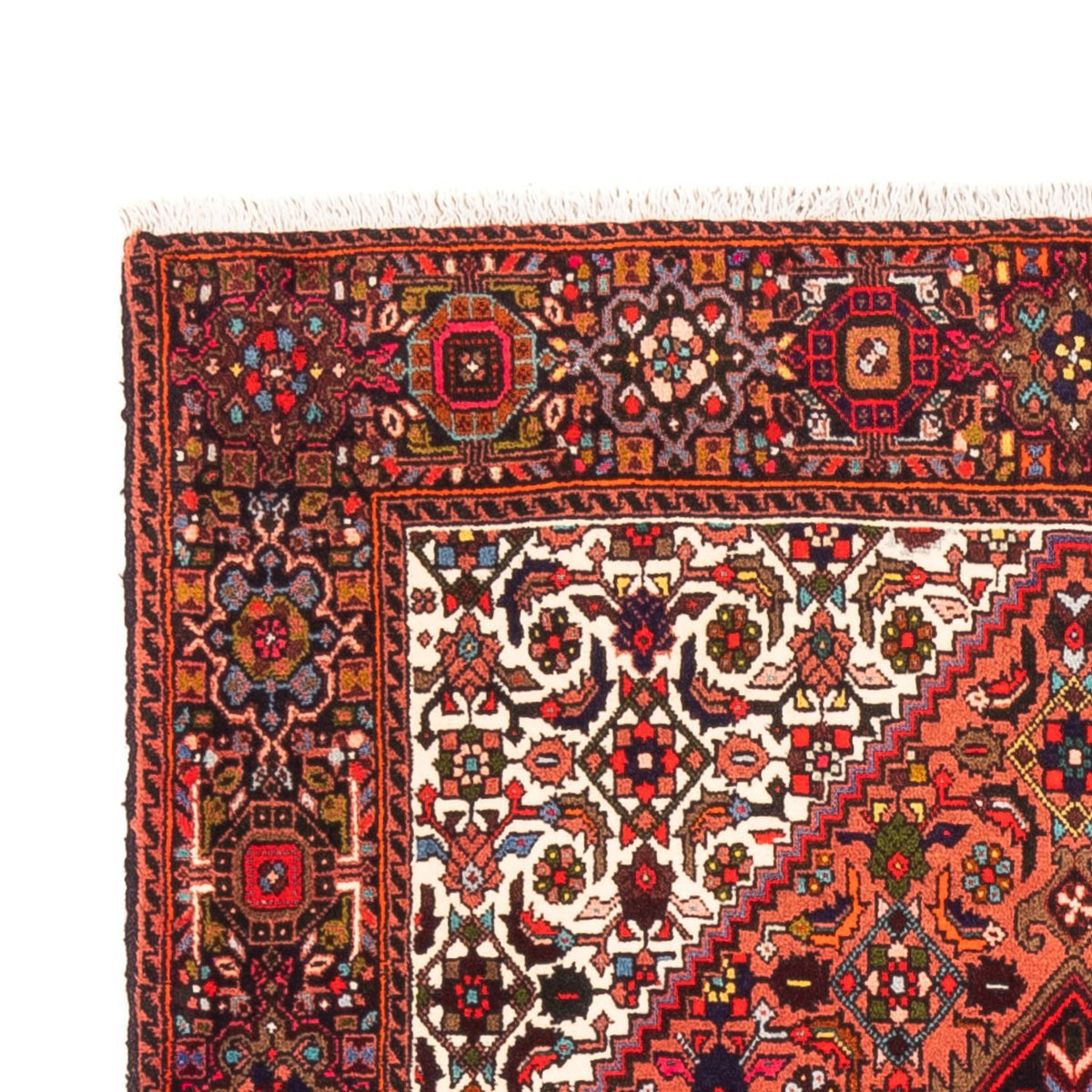 Gholtogh Rug 100x146cm - Persian Rugs