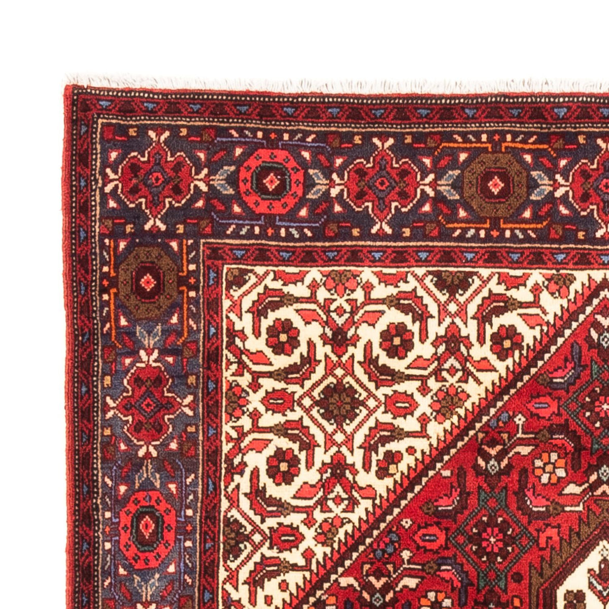 Gholtogh Rug 100x148cm - Persian Rugs
