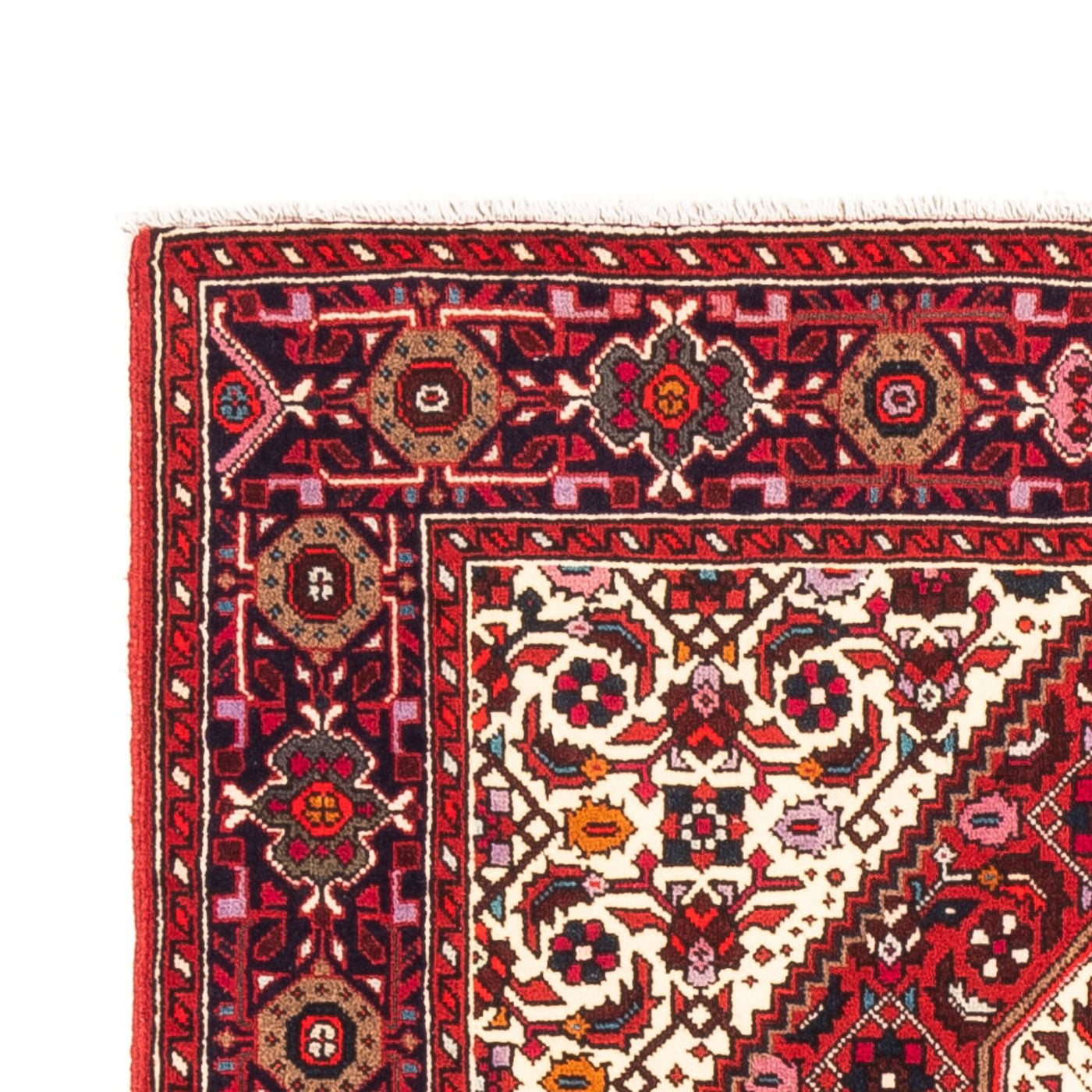 Gholtogh Rug 148x98cm - Persian Rugs