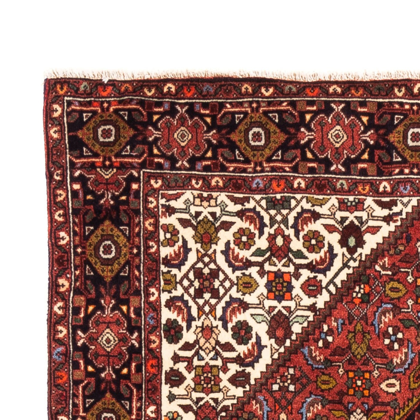 Gholtogh Rug 156x103cm - Persian Rugs
