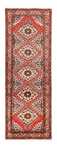 Rudbar Rug 75x208cm - Persian Rugs