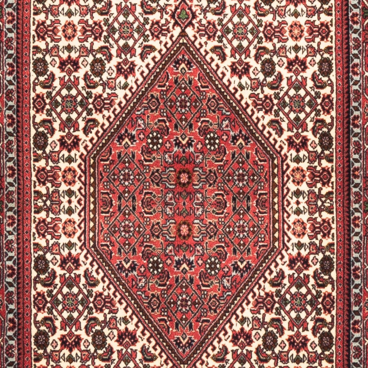 Runner Perser Rug - Bidjar - 225 x 80 cm - cream