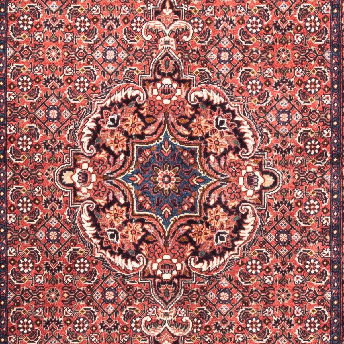 Runner Perser Rug - Bidjar - 238 x 73 cm - red