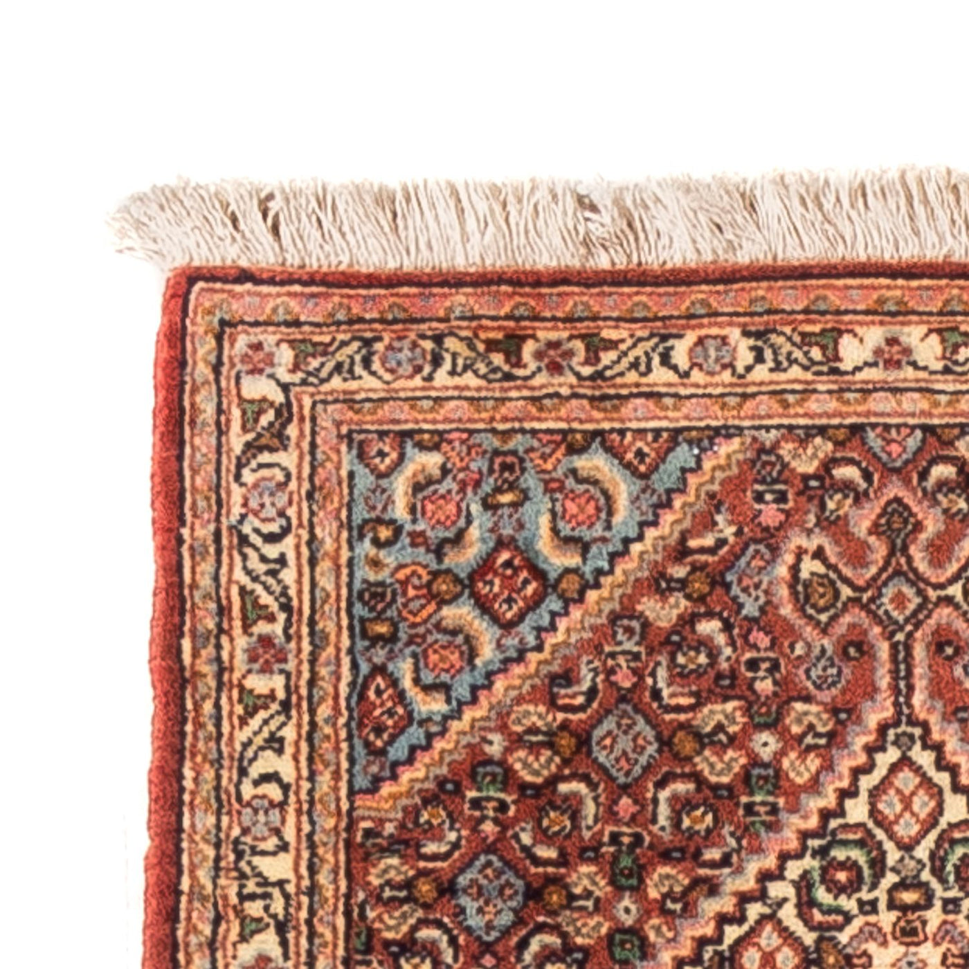 Senneh Rug 252x52cm - Persian Rugs