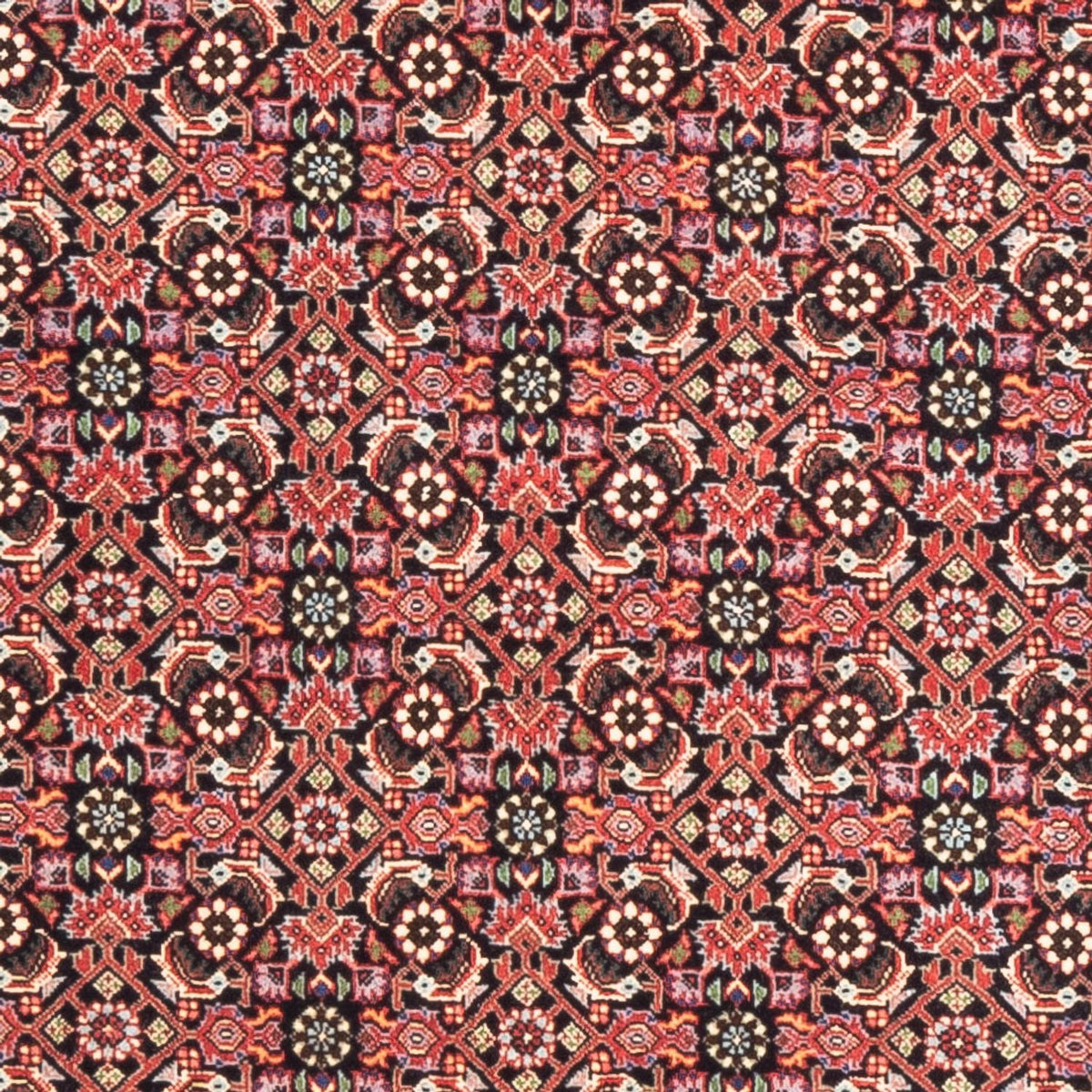 Runner Perser Rug - Bidjar - 189 x 82 cm - light red