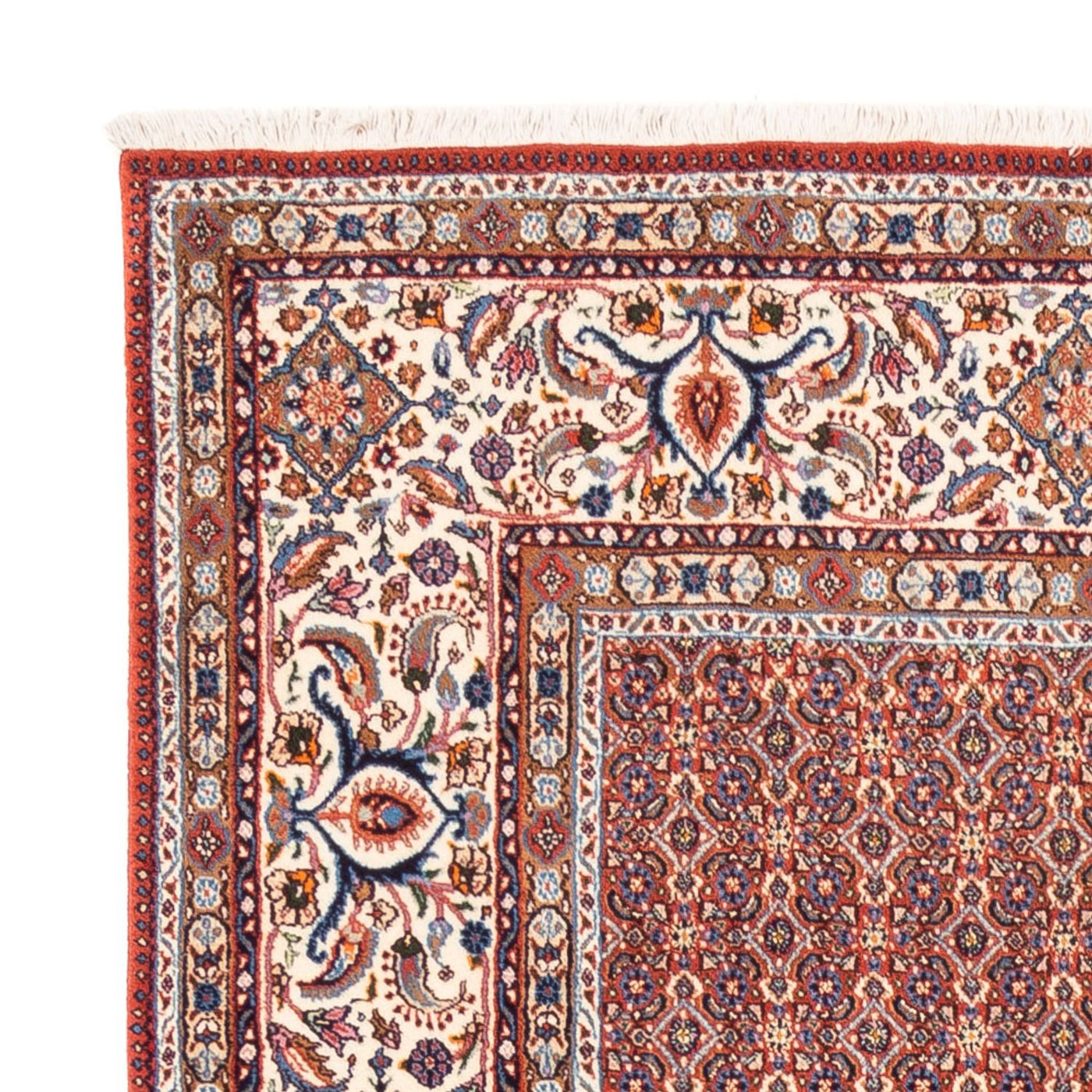 Moud Rug 247x202cm - Persian Rugs