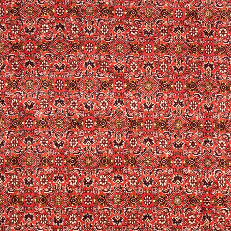 Perser Rug - Bidjar - 242 x 168 cm - red